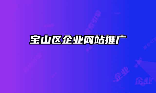寶山區(qū)企業(yè)網(wǎng)站推廣
