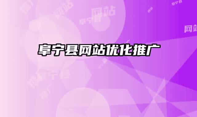 阜寧縣網(wǎng)站優(yōu)化推廣