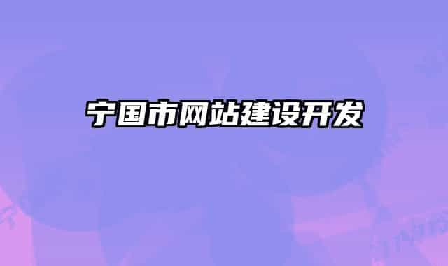 寧國市網(wǎng)站建設(shè)開發(fā)