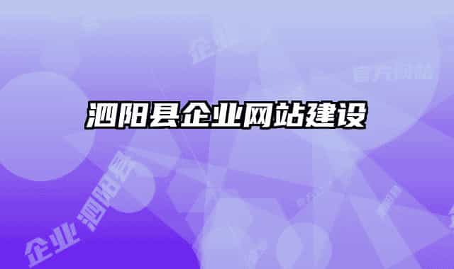 泗陽縣企業(yè)網(wǎng)站建設(shè)