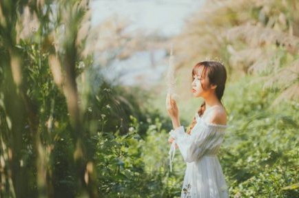蝦肉小丸子擺攤賺錢嗎是真的嗎